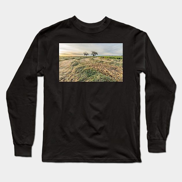 Hay Season Long Sleeve T-Shirt by Bevlyn